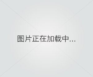 双飞燕OP-520（探索双飞燕OP-520的先进技术和多功能应用）
